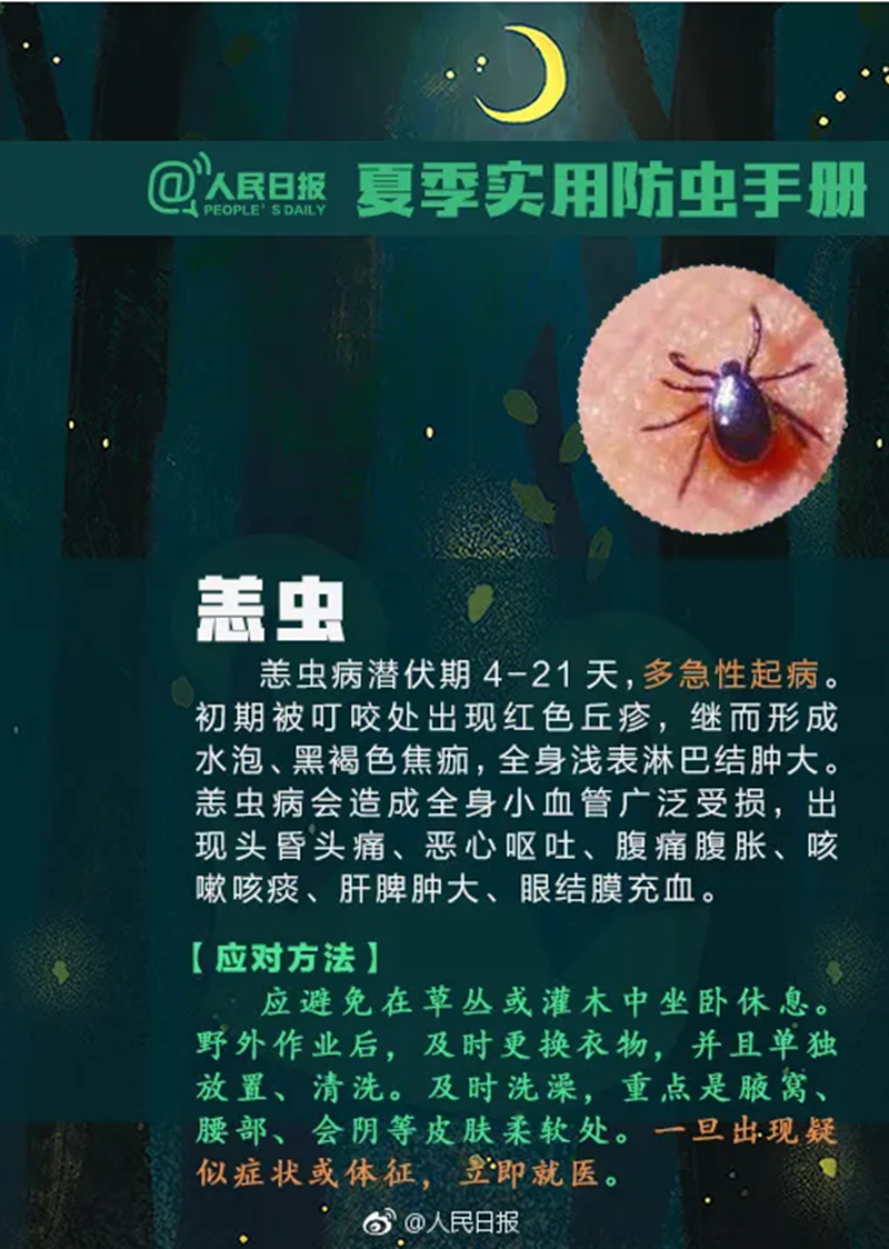 【警惕】《路边的野花不要采》赶紧躲开!